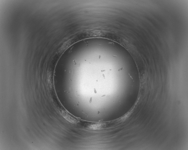 X0000078890178200611271402