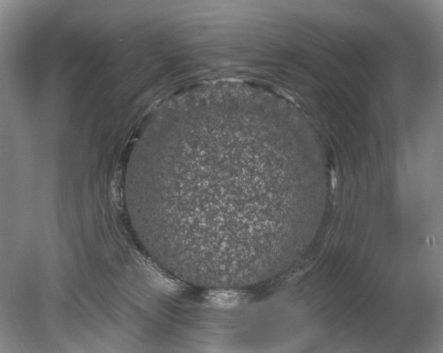 X0000078890181200611271402