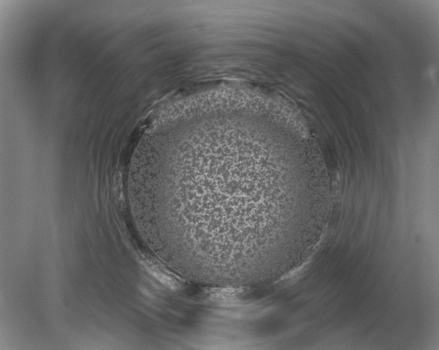 X0000078890182200611271402