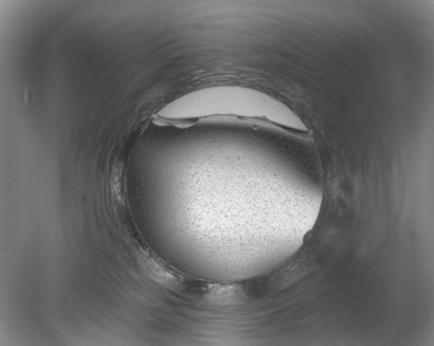 X0000078890185200611271402