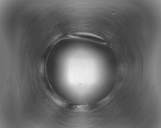 X0000078890188200611271402