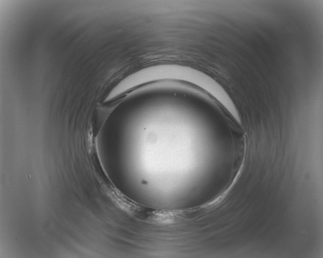 X0000078890190200611271402