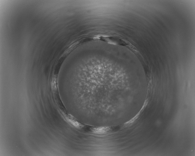 X0000078890191200611271402