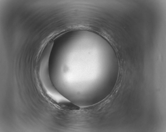 X0000078890193200611271401