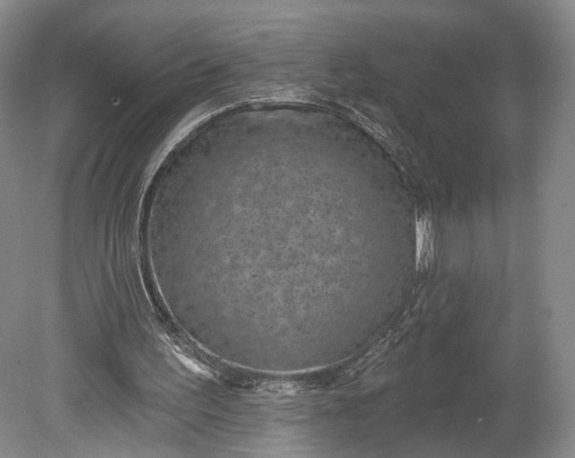 X0000078890195200611271401