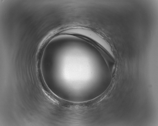 X0000078890197200611271401