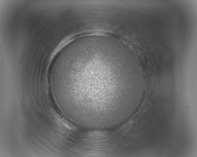 X0000078890198200611271401