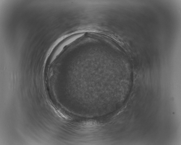 X0000078890200200611271401