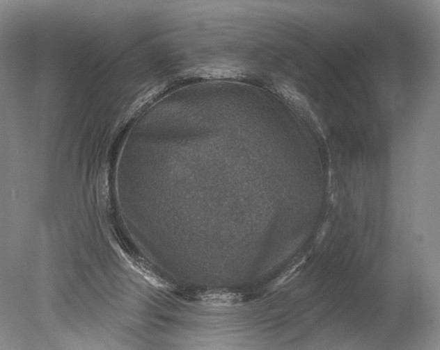 X0000078890202200611271401