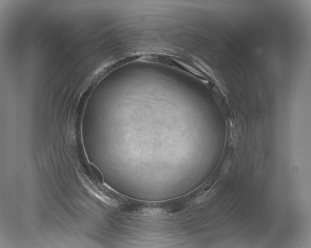 X0000078890203200611271401