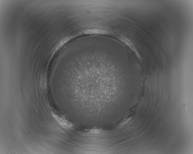 X0000078890204200611271401