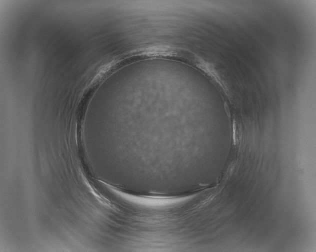 X0000078890205200611271401