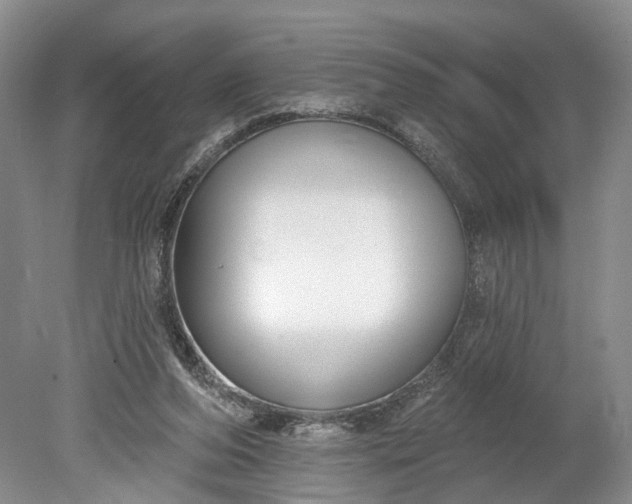 X0000078890208200611271401