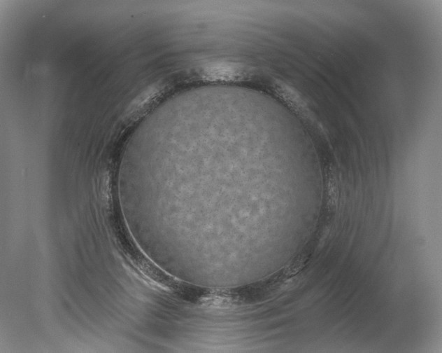 X0000078890211200611271401