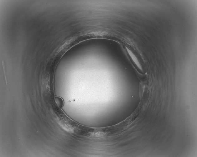 X0000078890212200611271401