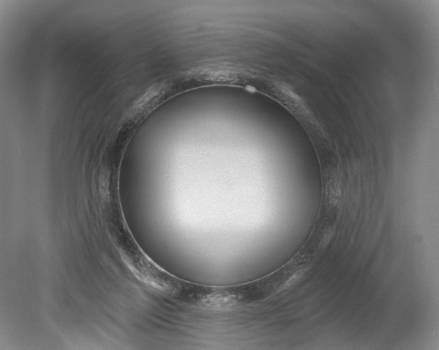 X0000078890213200611271401