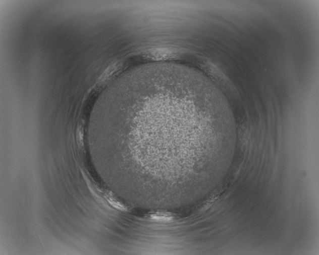 X0000078890214200611271401