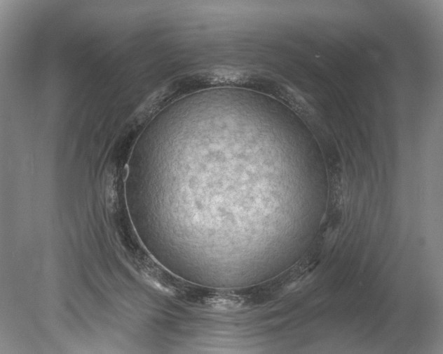 X0000078890215200611271401