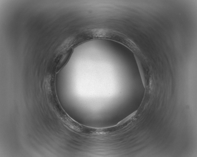 X0000078890217200611271401