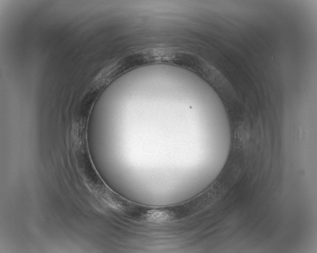 X0000078890218200611271401