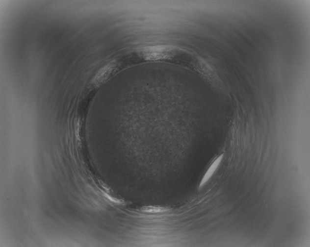 X0000078890219200611271401