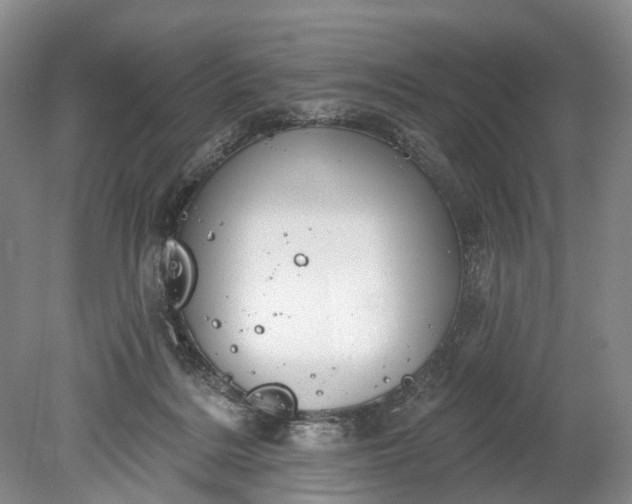 X0000078890220200611271401