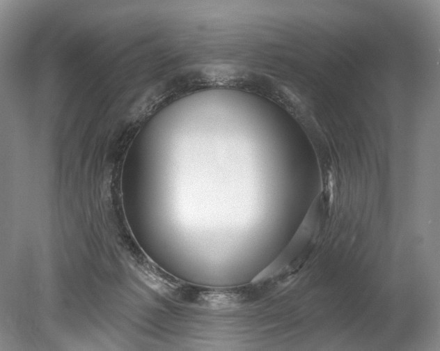 X0000078890221200611271401