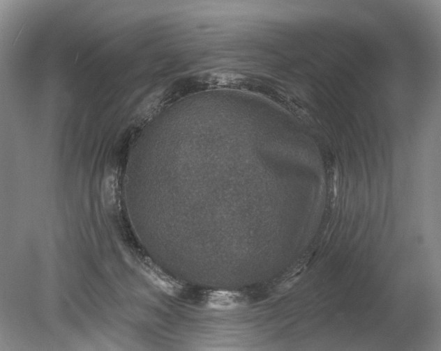 X0000078890222200611271401