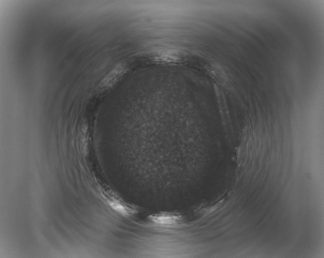 X0000078890223200611271401