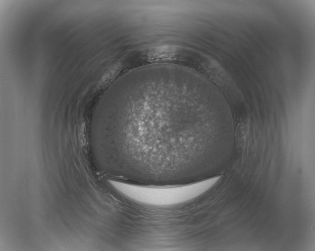 X0000078890224200611271401