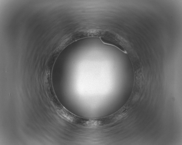 X0000078890225200611271401