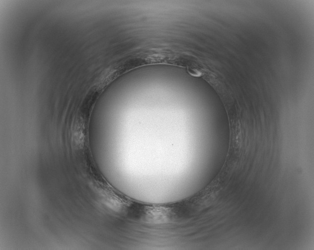 X0000078890226200611271401