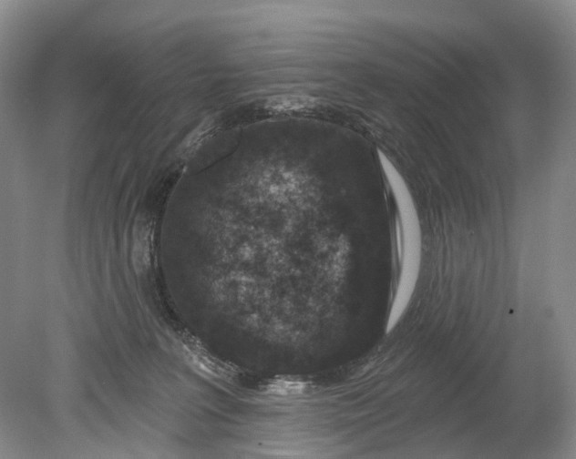 X0000078890227200611271401