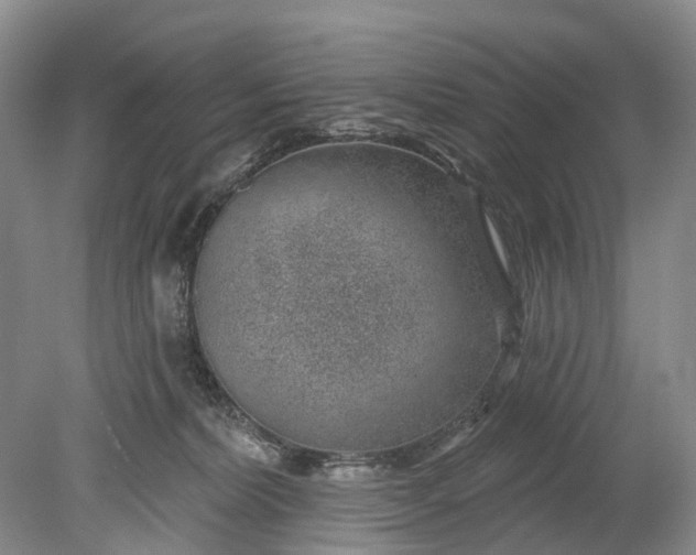 X0000078890228200611271401