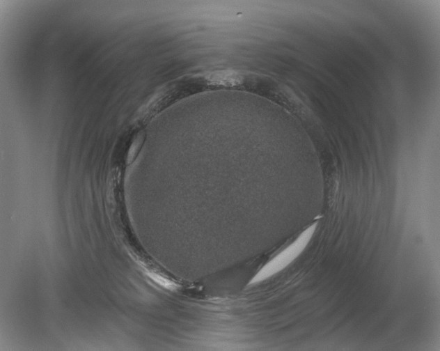 X0000078890229200611271401