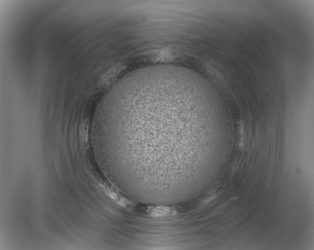 X0000078890230200611271401