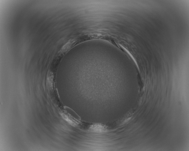 X0000078890231200611271401