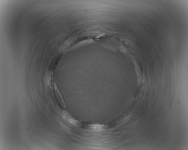 X0000078890233200611271401