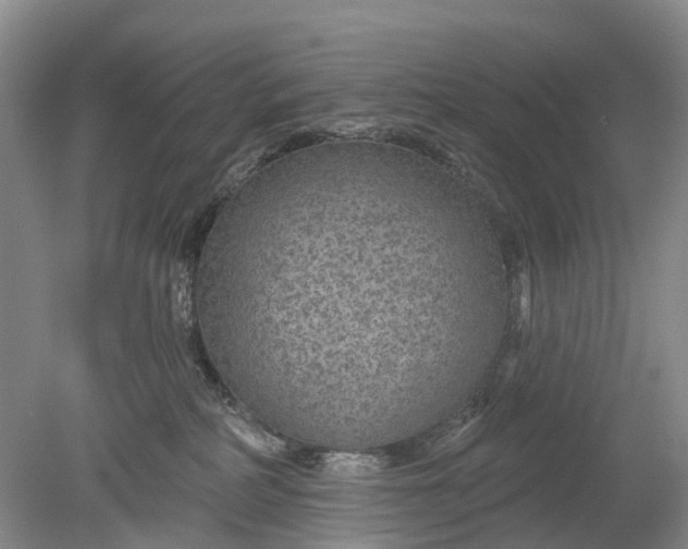 X0000078890234200611271401