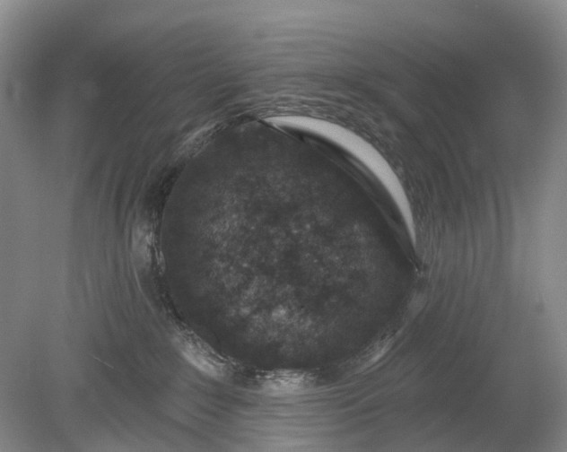 X0000078890235200611271401