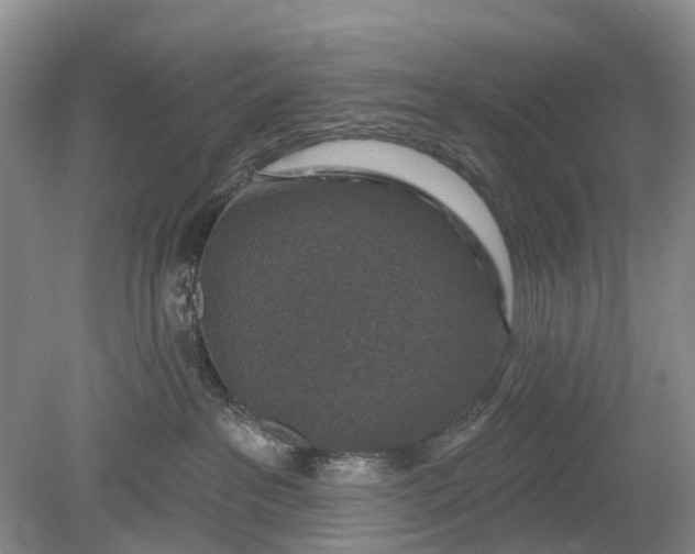 X0000078890237200611271401