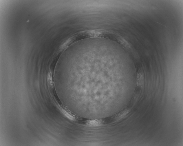 X0000078890238200611271401