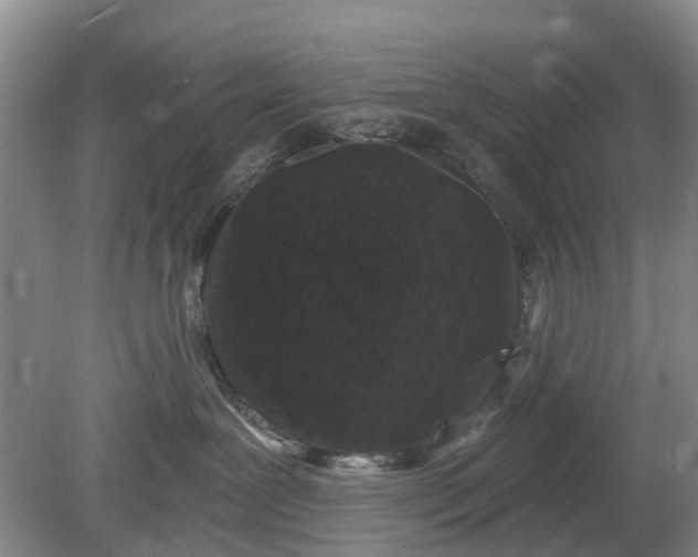 X0000078890239200611271401