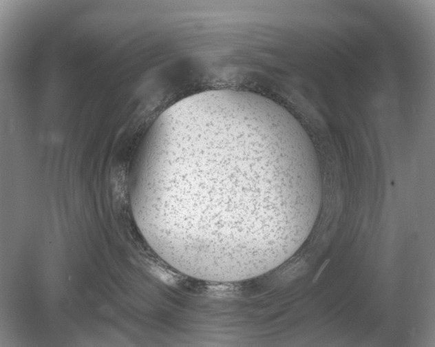 X0000078890240200611271401