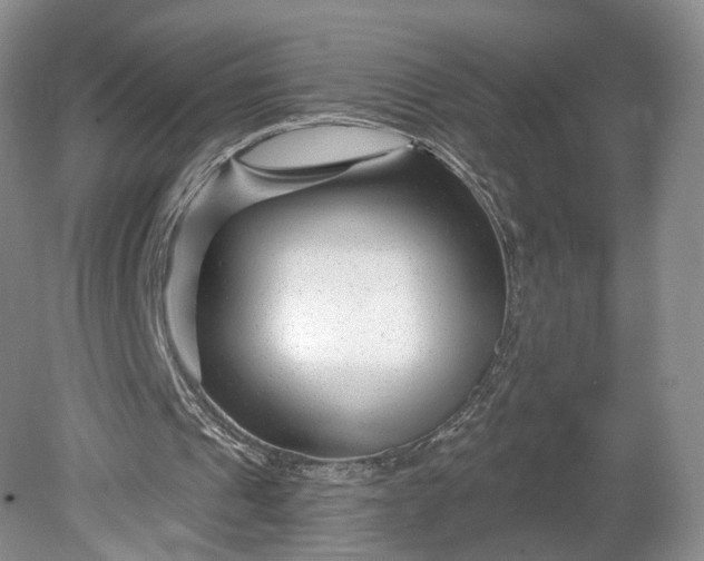 X0000078890241200611271400