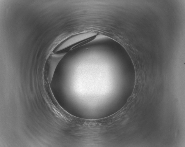 X0000078890242200611271400