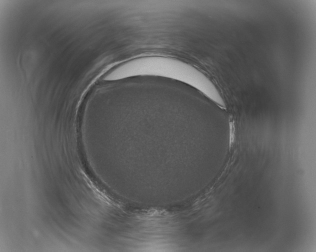 X0000078890243200611271400