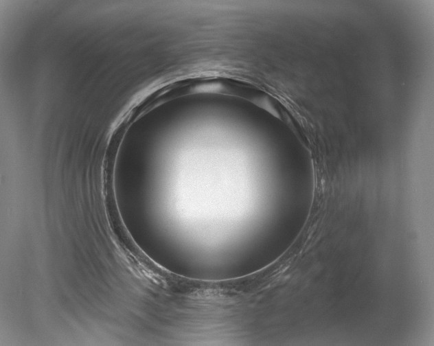 X0000078890244200611271400