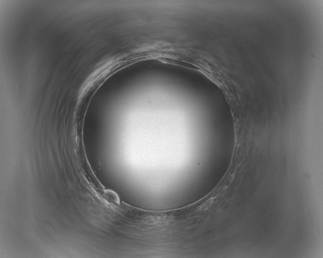 X0000078890245200611271400