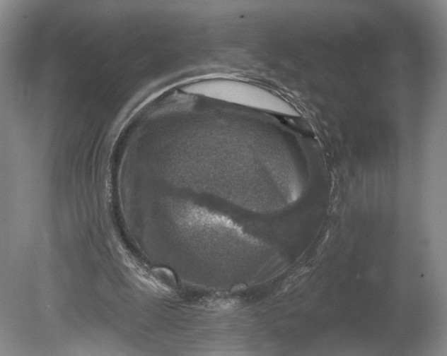 X0000078890247200611271400